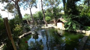 Турция . Кемер . Отель Mirada Del Mar 5* . Часть 2 .