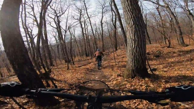 2021 Salsa Blackthorn Overview смотреть онлайн