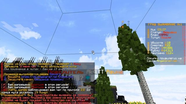 Забанили за читы когда у меня мут и я ничего не мог написать в чат  (Ak4lYT)  Angelmine