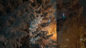 Авторская фотозарисовка "Зима"