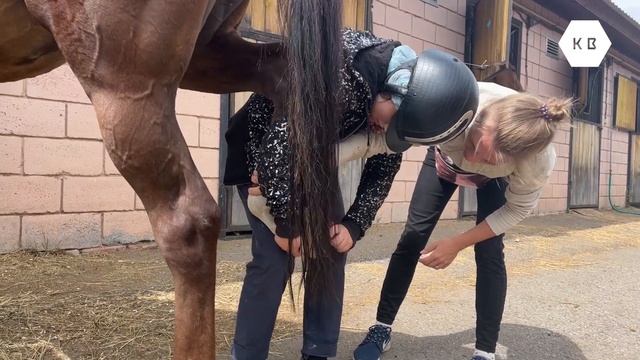 Живой тренажер смотреть онлайн