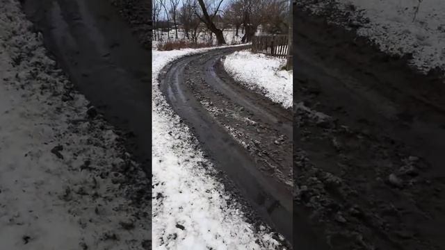 Гуманитарная помощь ноябрь 2022. Получила 10 кг пакет помощи и несу домой смотреть онлайн
