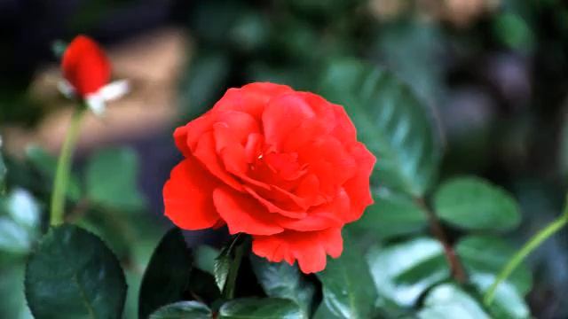 крутая музыка смотреть онлайн