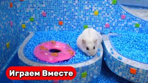 Хомяк катается на АМЕРИКАНСКИХ ГОРКАХ и ВОДНЫХ АТРАКЦИОНАХ ! Видео для детей