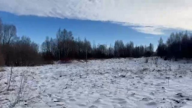ЗУ :698 д. Мостки смотреть онлайн