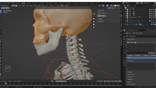 08_2_head_neck смотреть онлайн