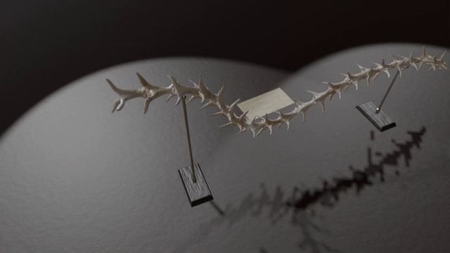 Spine - Blender 2.81 Eevee смотреть онлайн
