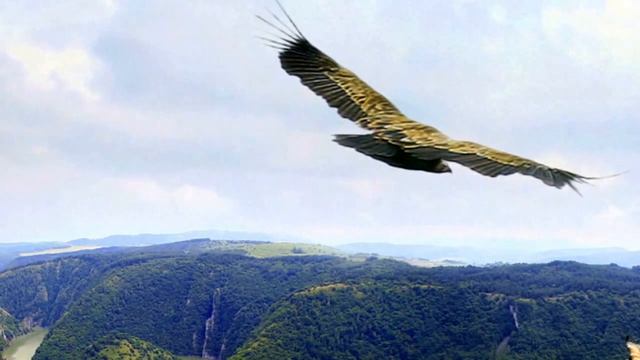 МУЗЫКА КРЫЛЬЕВ смотреть онлайн