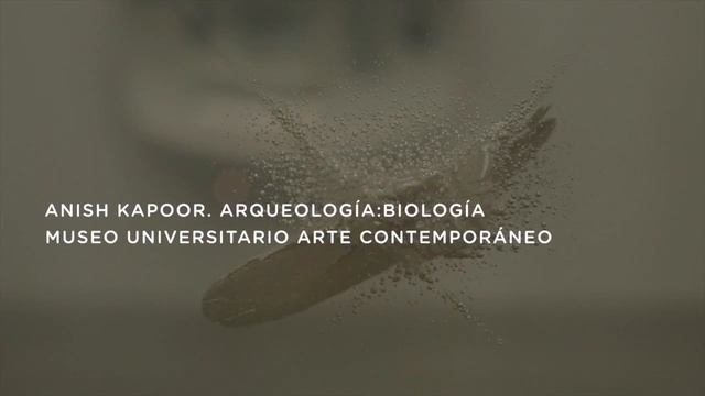 Anish Kapoor, MUAC смотреть онлайн