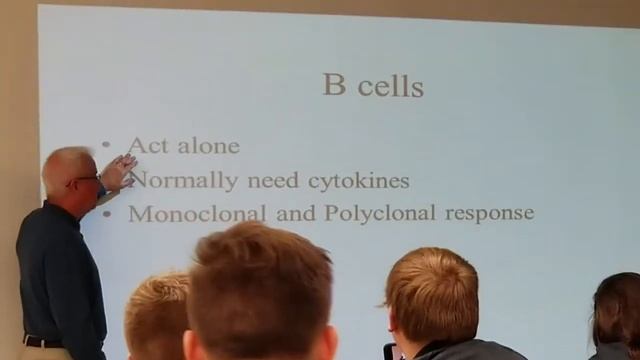 Lymphatic System AP Lecture 2/22/2019 смотреть онлайн