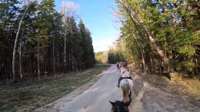 Медитирую в походе под цокот копыт и пение птиц, 4К видео || В поле на коне смотреть онлайн