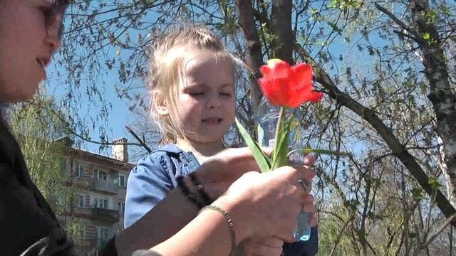 девочка с тюльпанами смотреть онлайн