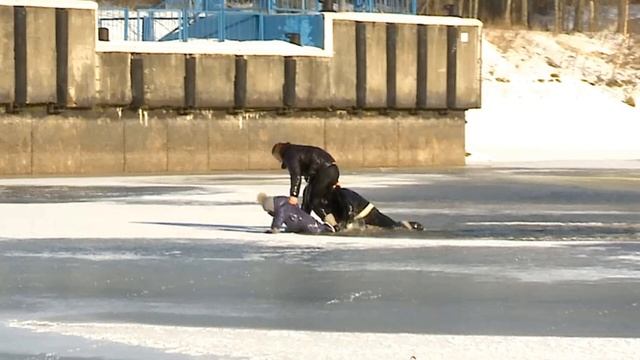 Общешкольное родительское собрание смотреть онлайн