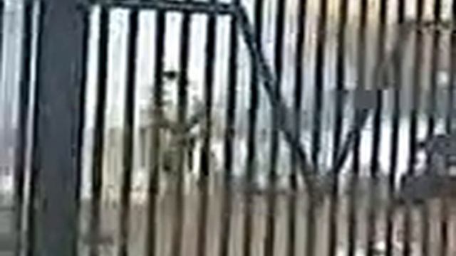 Возле ЦОНа в Шымкенте тушили горящую машину смотреть онлайн