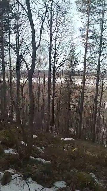 Иоганн Себастьян Бах на склоне карельском смотреть онлайн