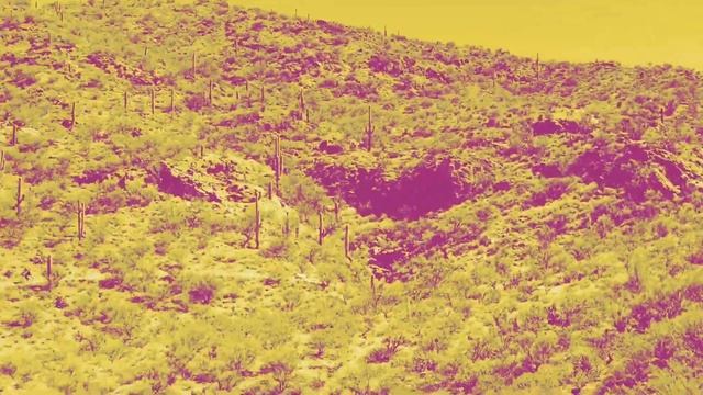 Blue Dog Bicycles - Salsa Fargo S24O смотреть онлайн