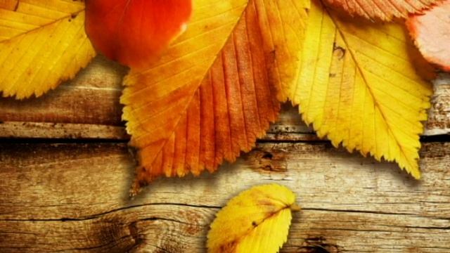 Autumn sadness смотреть онлайн