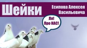 Шейки - в гостях у Есипова А.В.