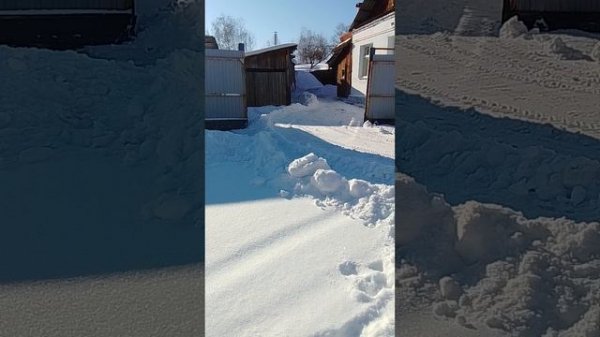 VID_20250225_155433.mp4