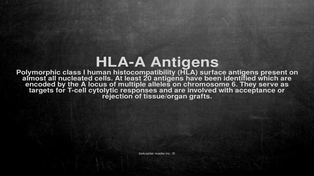 Medical vocabulary: What does HLA-A Antigens mean смотреть онлайн