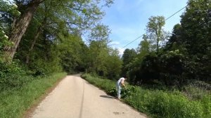 Жизнь в Сербии.  Уехать из города на ПМЖ в деревню на горах в лесу?