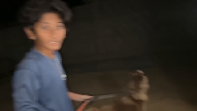 1 Lakh ka Husky Dog Gift Milgya!😍💰 смотреть онлайн