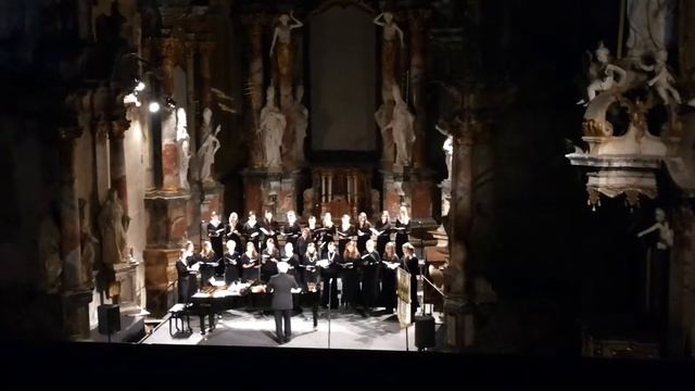 D. Zakaras "Parbėg laivelis" soliste Vera Talerko смотреть онлайн