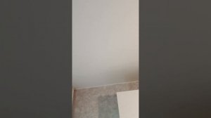 Натяжной потолок на кухне, в квартире с газовой плитой, почему нет.