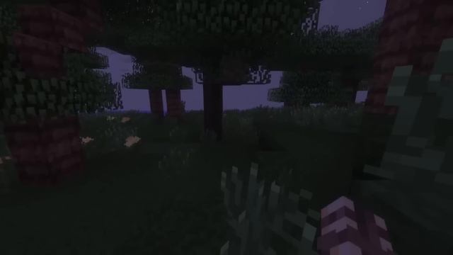 😱 Майнкрафт но ЖИЗНЬ РУНИ!