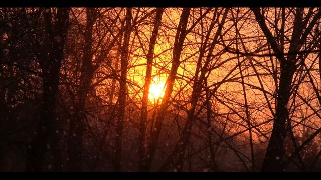 Tomaso Albinoni - Adagio in G Minor смотреть онлайн