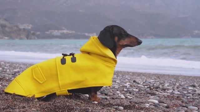шум дождя 1 смотреть онлайн