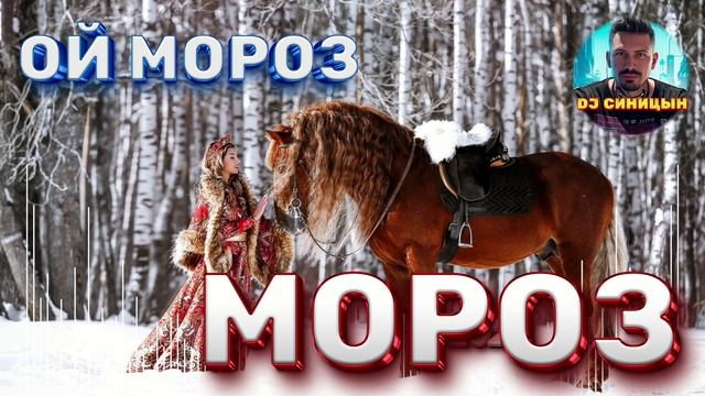 DJ СИНИЦЫН - Ой, мороз мороз 2025 смотреть онлайн