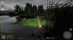 Где и как НОВИЧКУ ловить КАРПА ? ● Русская Рыбалка 4 | РР4