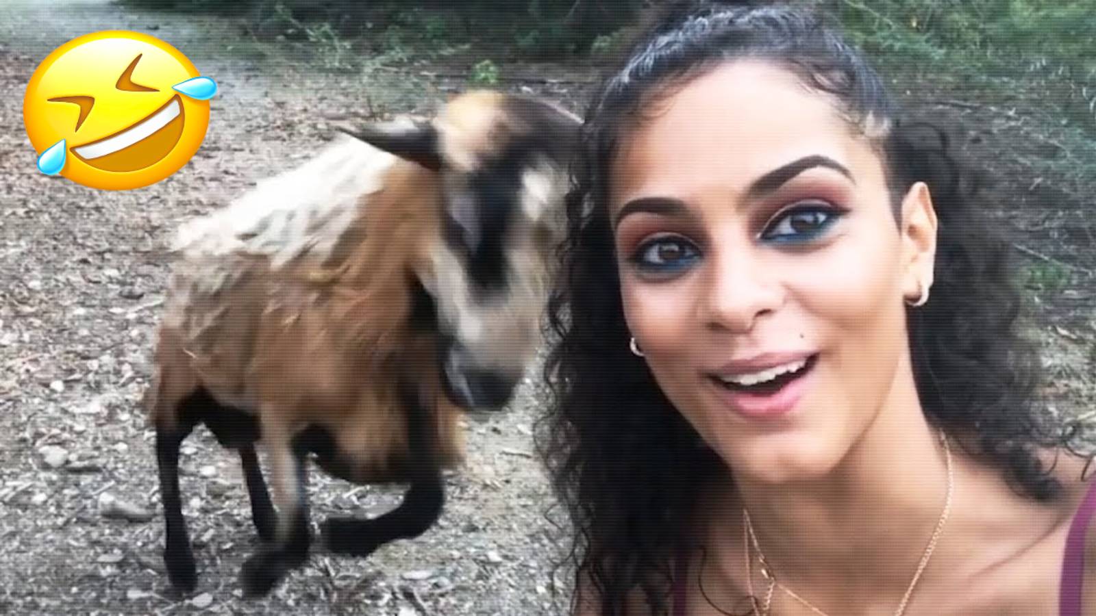 ЛУЧШИЕ ВИДЕО ПРИКОЛЫ НА RUTUBE 2025 СМЕЙСЯ ДО СЛЕЗ 🤣 смотреть онлайн