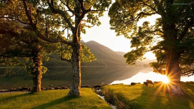 СБОРНИК С УСПОКАИВАЮЩИМИ МЕЛОДИЯМИ ДЛЯ ДУШИ! смотреть онлайн