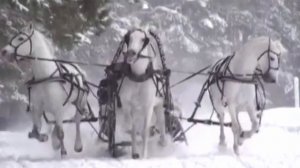 День Русской Тройки лошадей...поёт Бэджа Калмыков. Казахстан