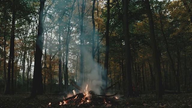 Fire In Forest / Nature / Sond For Meditation / Relax / Костер в лесу / Природа / Звук для медитаци