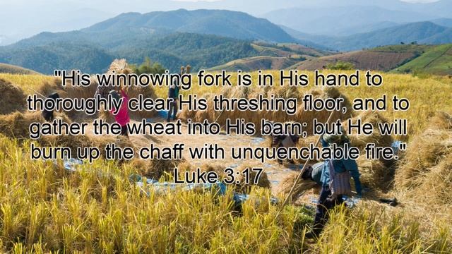 Wheat and Tares and their Significance in the Bible смотреть онлайн