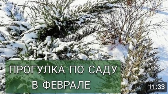 ПРОГУЛКА ПО САДУ В ФЕВРАЛЕ. 15.02.2025г. смотреть онлайн
