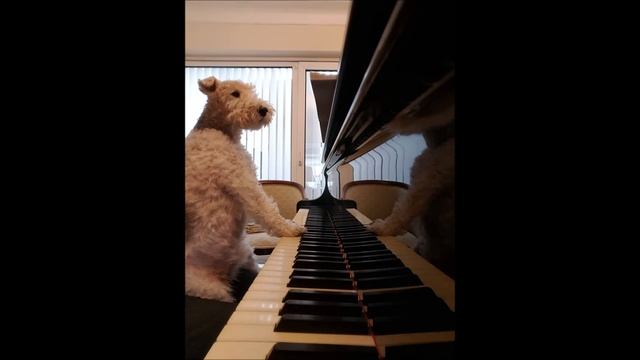 Brahms Hungarian Dance No.12