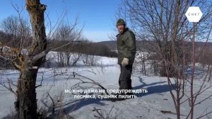 20 лет одиночества. Откровения отшельника.