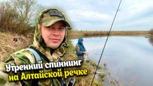 СПИННИНГ С БЕРЕГА в Алтайском крае / РЫБАЛКА НА РЕКЕ СКЛЮИХА / утренняя природа Алтая