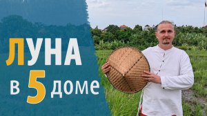 ЛУНА в 5 ПЯТОМ ДОМЕ | Дмитрий Пономарев