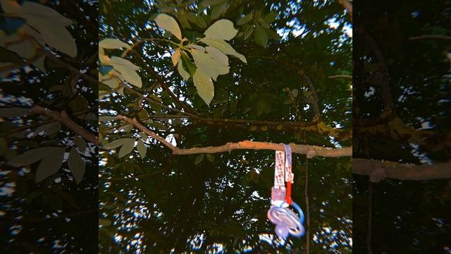 Я стреляю смотреть онлайн