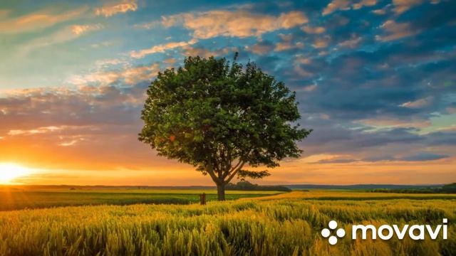 Музыка для отдыха/сна/расслабления/music sleep/relax music смотреть онлайн