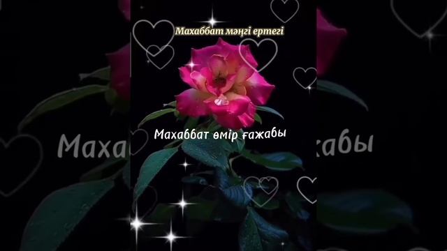 #махаббат_дегенқандайды❤ смотреть онлайн
