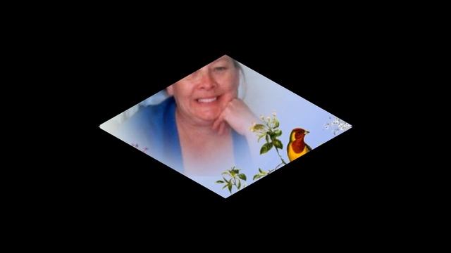 DELIA PISI. '' LA REYNA '' смотреть онлайн