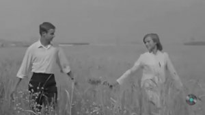 Беспечное детство, пора золотая...