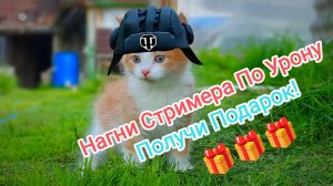 Нагни Стримера По Урону Получи Приз Tanks Blitz Танки Блитс Блитз Танкс