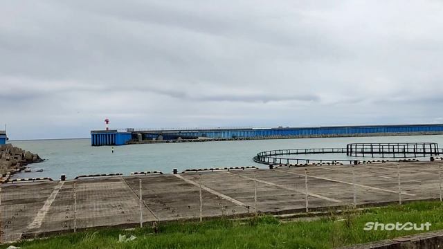 Адлер | Шум волн смотреть онлайн